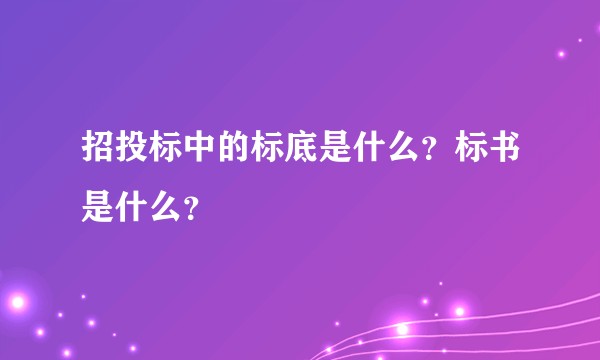 招投标中的标底是什么？标书是什么？
