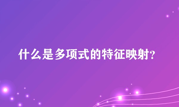 什么是多项式的特征映射？
