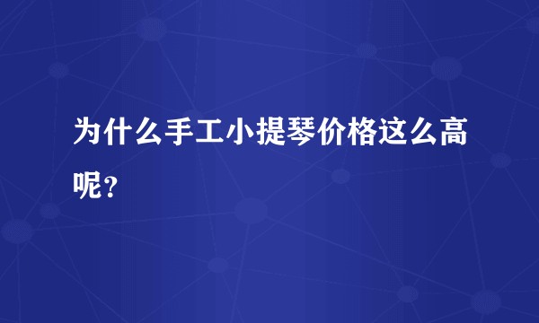 为什么手工小提琴价格这么高呢？