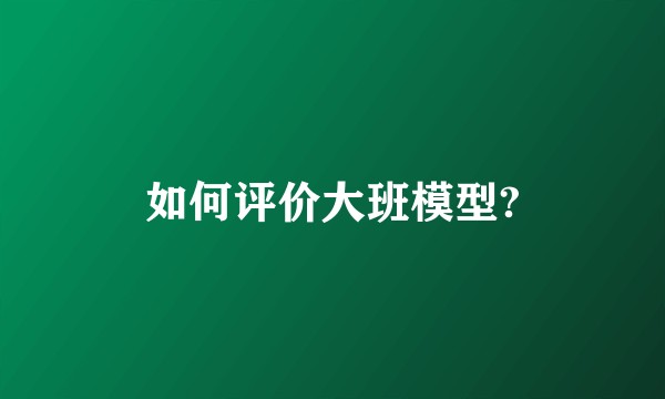 如何评价大班模型?