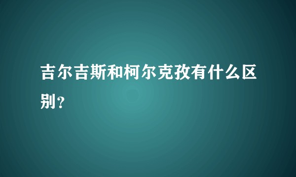 吉尔吉斯和柯尔克孜有什么区别？
