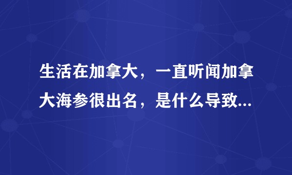 生活在加拿大，一直听闻加拿大海参很出名，是什么导致了这样的差异？