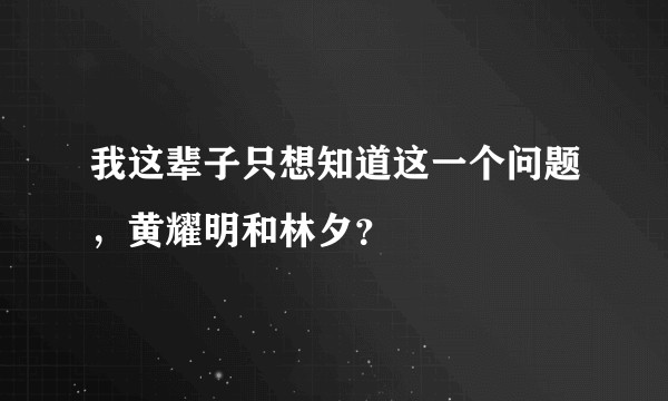 我这辈子只想知道这一个问题，黄耀明和林夕？