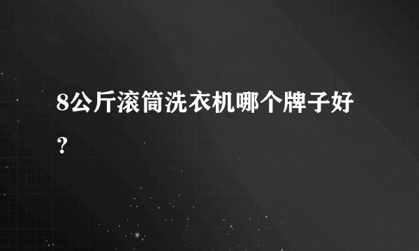 8公斤滚筒洗衣机哪个牌子好？