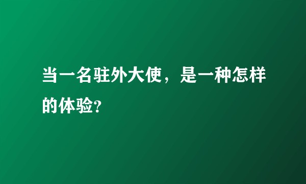 当一名驻外大使，是一种怎样的体验？