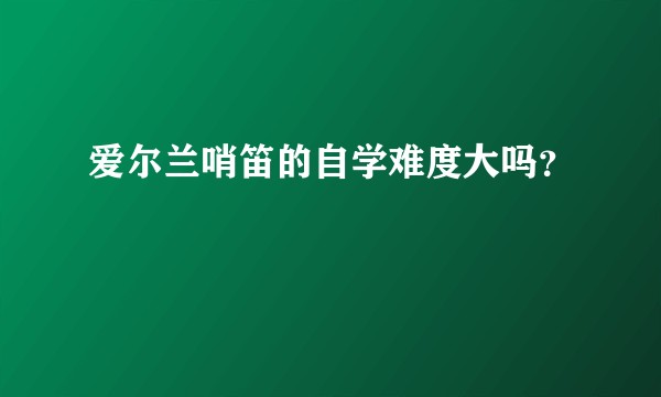 爱尔兰哨笛的自学难度大吗?