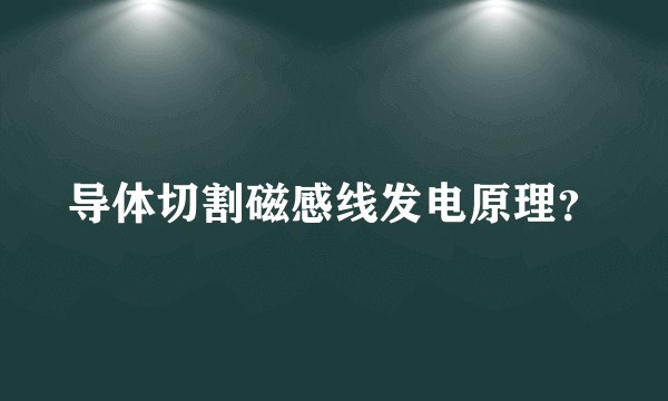 导体切割磁感线发电原理？