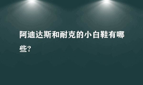 阿迪达斯和耐克的小白鞋有哪些?