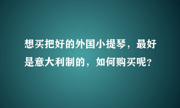 想买把好的外国小提琴，最好是意大利制的，如何购买呢？