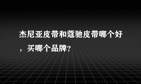杰尼亚皮带和蔻驰皮带哪个好，买哪个品牌？