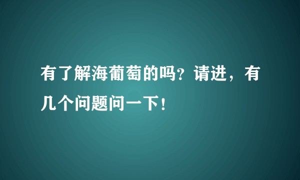 有了解海葡萄的吗？请进，有几个问题问一下！