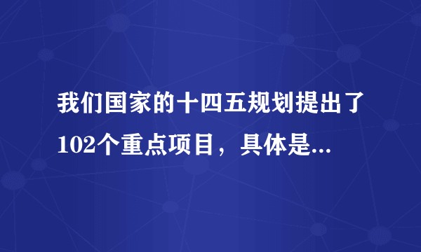 我们国家的十四五规划提出了102个重点项目，具体是哪些啊？