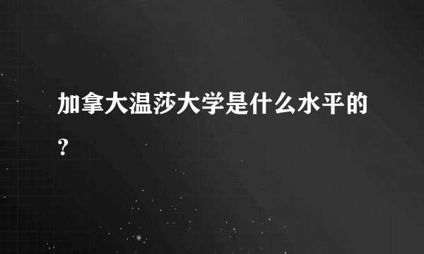 加拿大温莎大学是什么水平的？