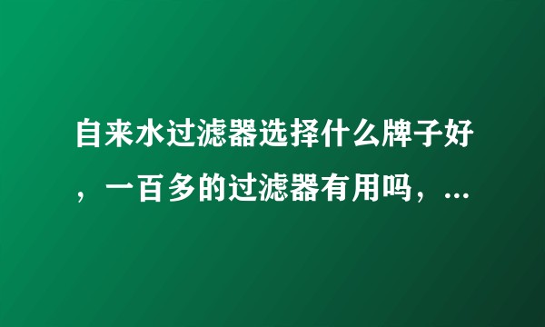 自来水过滤器选择什么牌子好，一百多的过滤器有用吗，买还是只是给自己心里安慰？