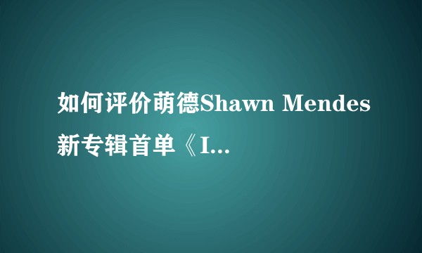 如何评价萌德Shawn Mendes新专辑首单《In My Blood》？