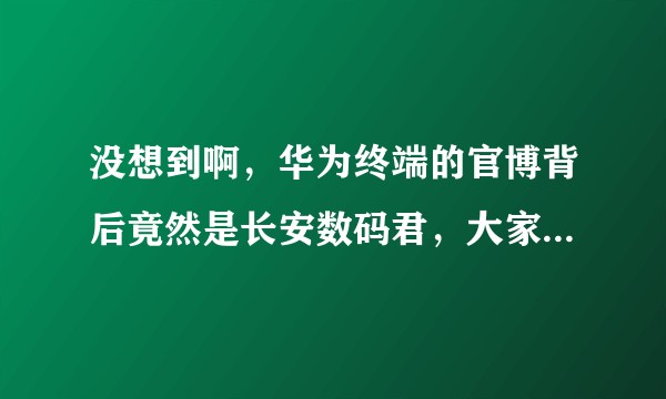 没想到啊，华为终端的官博背后竟然是长安数码君，大家怎么看带长安数码君平时的带节奏行为？