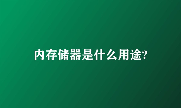 内存储器是什么用途?