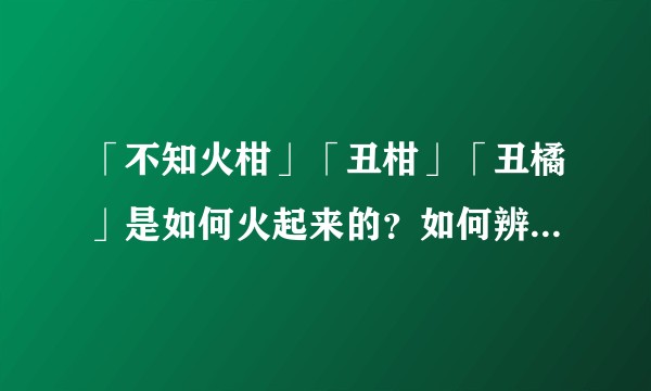「不知火柑」「丑柑」「丑橘」是如何火起来的？如何辨别真假？