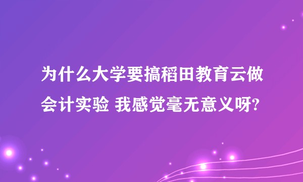 为什么大学要搞稻田教育云做会计实验 我感觉毫无意义呀?