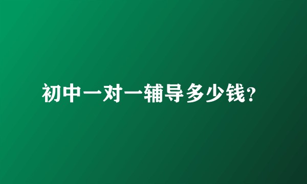 初中一对一辅导多少钱？