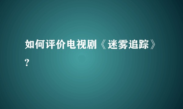 如何评价电视剧《迷雾追踪》?