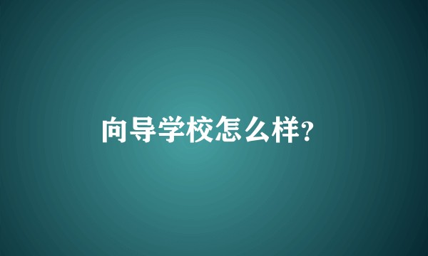 向导学校怎么样？