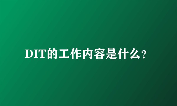 DIT的工作内容是什么？