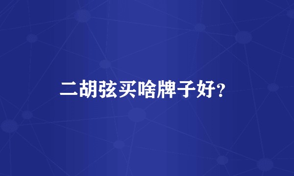 二胡弦买啥牌子好？