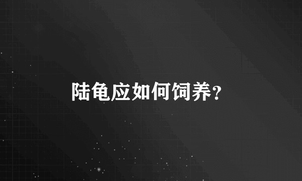 陆龟应如何饲养？