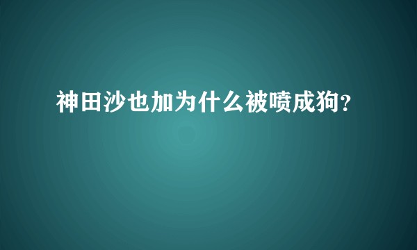 神田沙也加为什么被喷成狗？