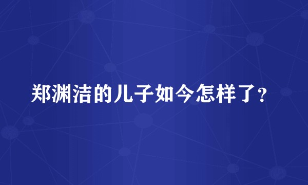 郑渊洁的儿子如今怎样了？