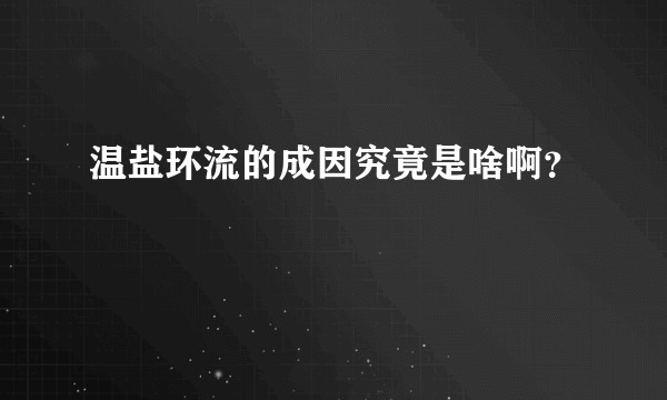 温盐环流的成因究竟是啥啊？