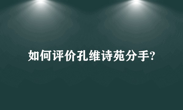 如何评价孔维诗苑分手?