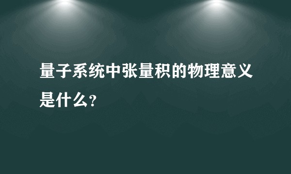 量子系统中张量积的物理意义是什么？