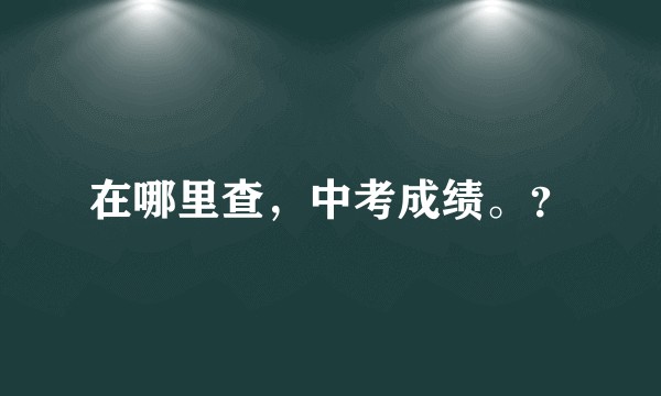 在哪里查，中考成绩。？