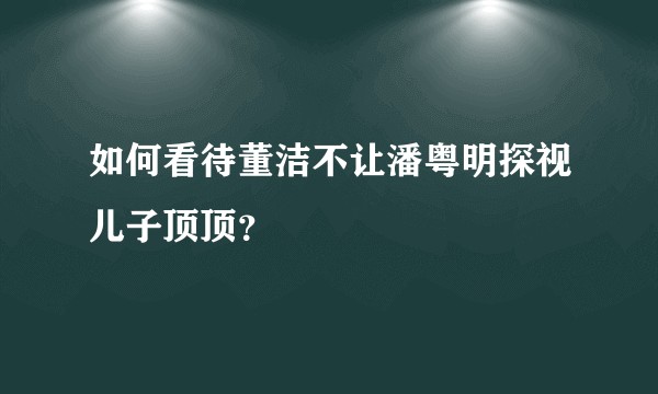 如何看待董洁不让潘粤明探视儿子顶顶？