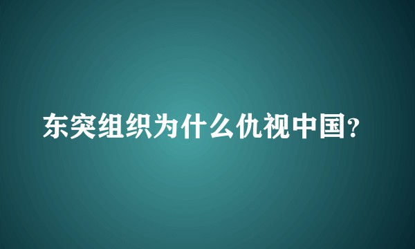 东突组织为什么仇视中国？