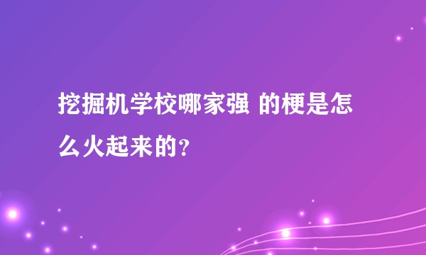 挖掘机学校哪家强 的梗是怎么火起来的？