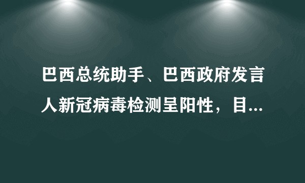 巴西总统助手、巴西政府发言人新冠病毒检测呈阳性，目前巴西的疫情情况如何？有多严重？