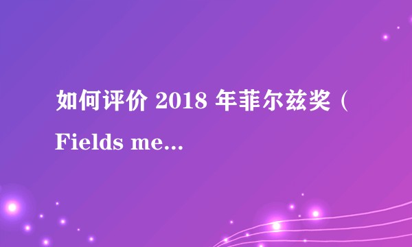 如何评价 2018 年菲尔兹奖（Fields medal 2018）结果与四位得主的工作？