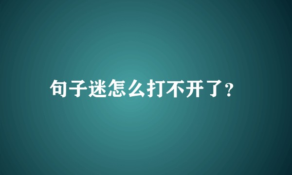 句子迷怎么打不开了？