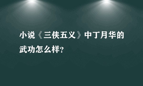 小说《三侠五义》中丁月华的武功怎么样？