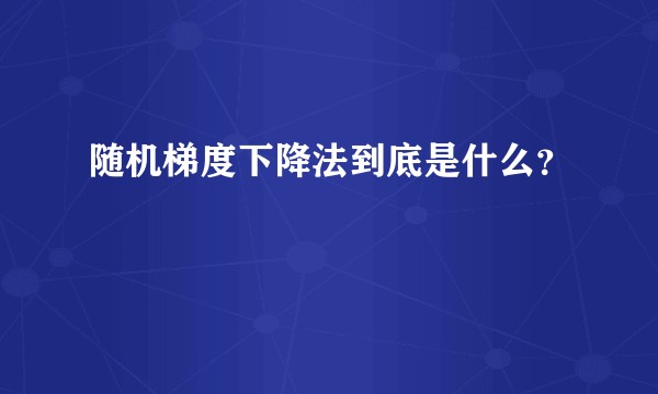 随机梯度下降法到底是什么？