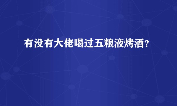 有没有大佬喝过五粮液烤酒？