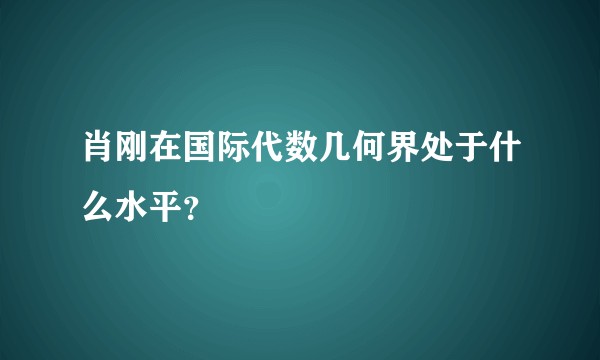 肖刚在国际代数几何界处于什么水平？