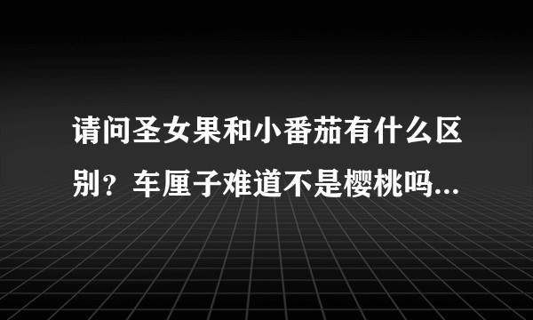 请问圣女果和小番茄有什么区别？车厘子难道不是樱桃吗？菠萝和凤梨难道不是一样的吗？