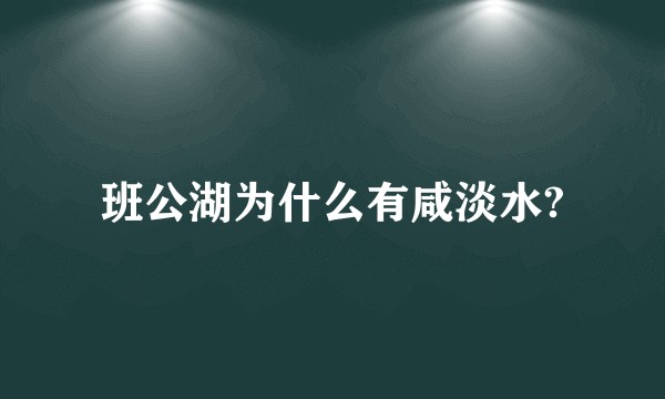 班公湖为什么有咸淡水?