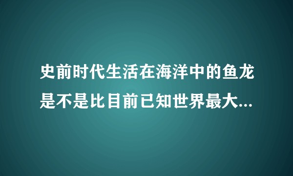 史前时代生活在海洋中的鱼龙是不是比目前已知世界最大的动物蓝鲸还要大？