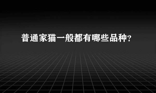 普通家猫一般都有哪些品种？