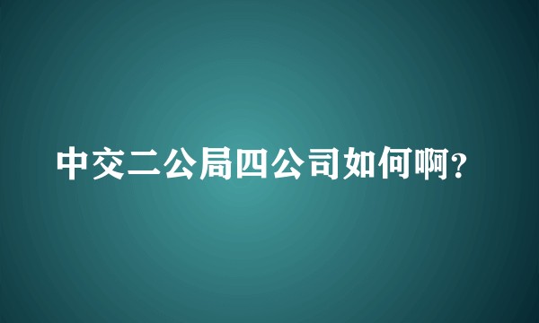 中交二公局四公司如何啊？